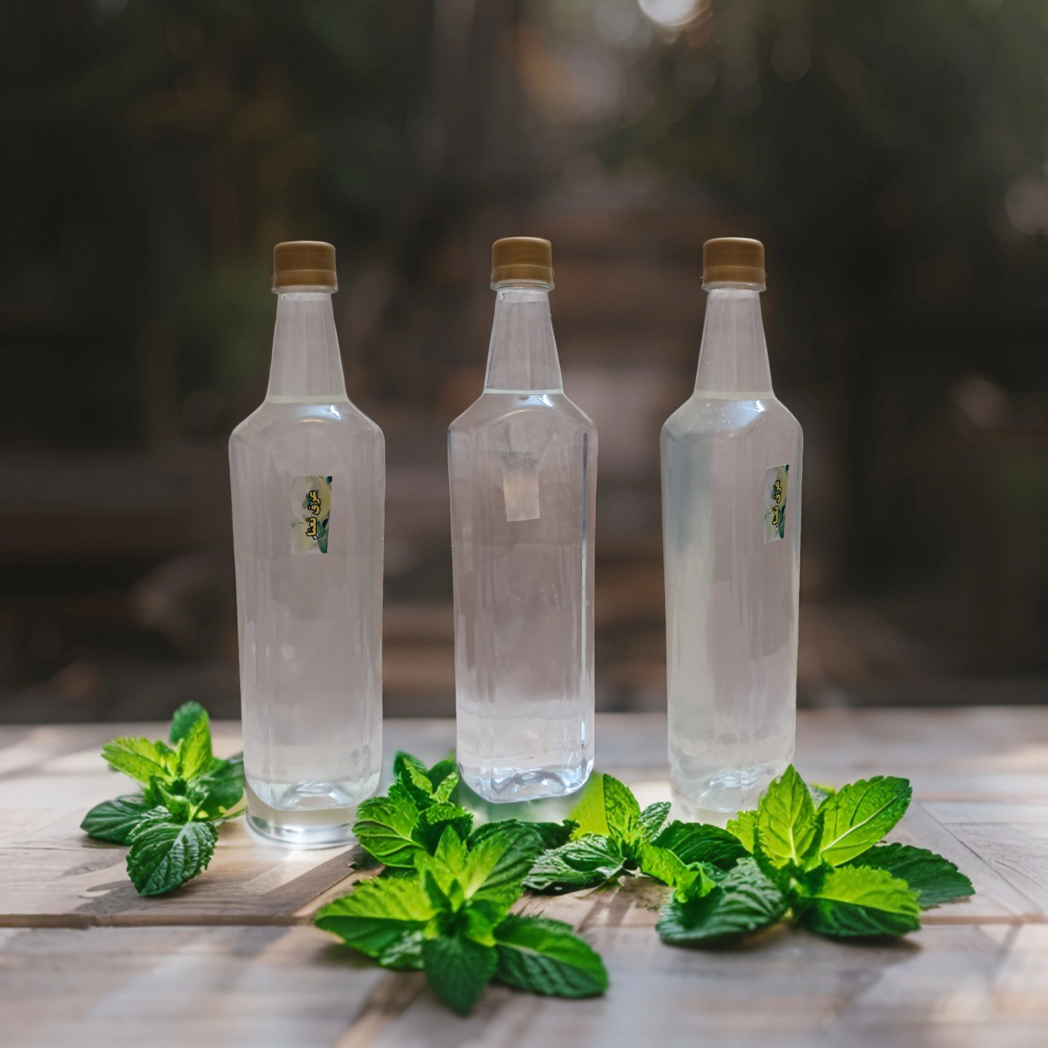 image_Pippit_202507080122 (38).webp